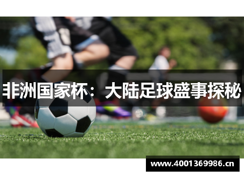 非洲国家杯：大陆足球盛事探秘